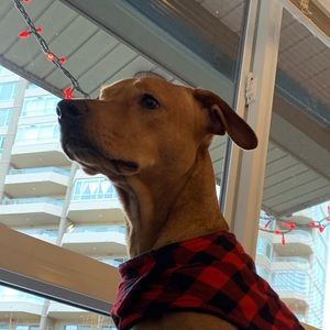 Meet your Posher, Daryl